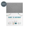 Bump To Birthday -LittleNest Store 2 db1ee6a0 ef41 4a93 83f6 c84514ab4a49