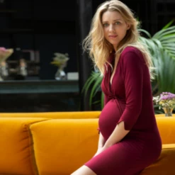 Cache Coeur Maternity And Nursing Nightgown MilkBurgundy