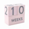 Pearhead Wooden Age Blocks - Pink -LittleNest Store 40 fe43ca74 e73d 409b bec4 2a2cbf669a58