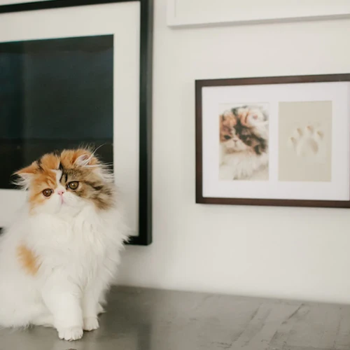 Pearhead Pawprints Wall Frame 4 Pearhead Pawprints Wall Frame - Image 2