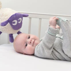 Ewan The Dream Sheep (Classic) - Baby Sleep Soother -LittleNest Store Purple Classic Ewan a a8cc6ca7 c861 4d25 9384 fa5c45cdb1f0